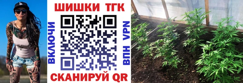 дарнет шоп  Чапаевск  Канабис конопля 